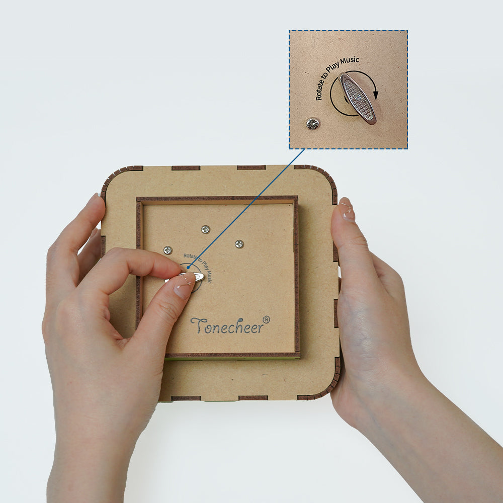 The Merry-go-round- Tonecheer Music Box
