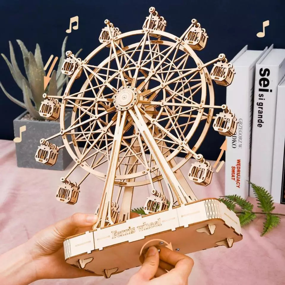 Ferris Wheel Rolife